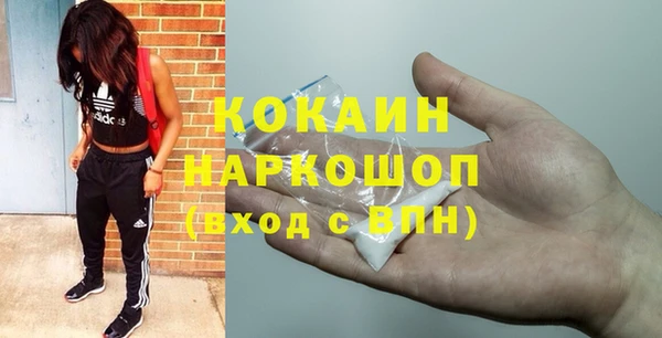 сатива Алексин