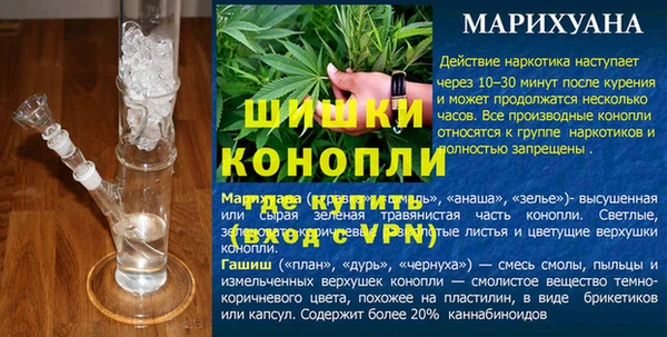 шишки Михайловск