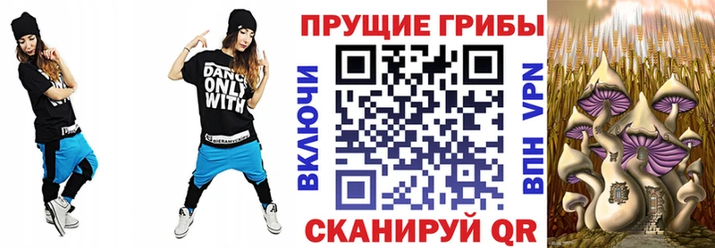 Галлюциногенные грибы мицелий  закладка  Жуковский 